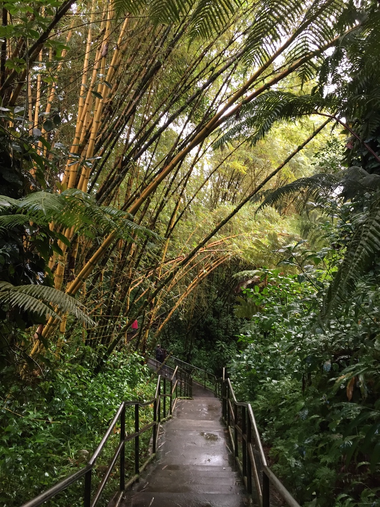 Akaka Falls Trail in Akaka Falls State Park, a scenic loop hike through a lush rainforest near Hilo, Hawaii, featuring two stunning waterfalls.